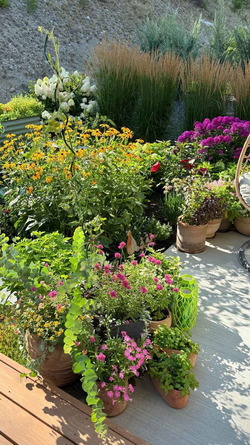 The August Priority Is Keeping Healthy Foliage Working The August Priority Is Keeping Healthy Foliage Working