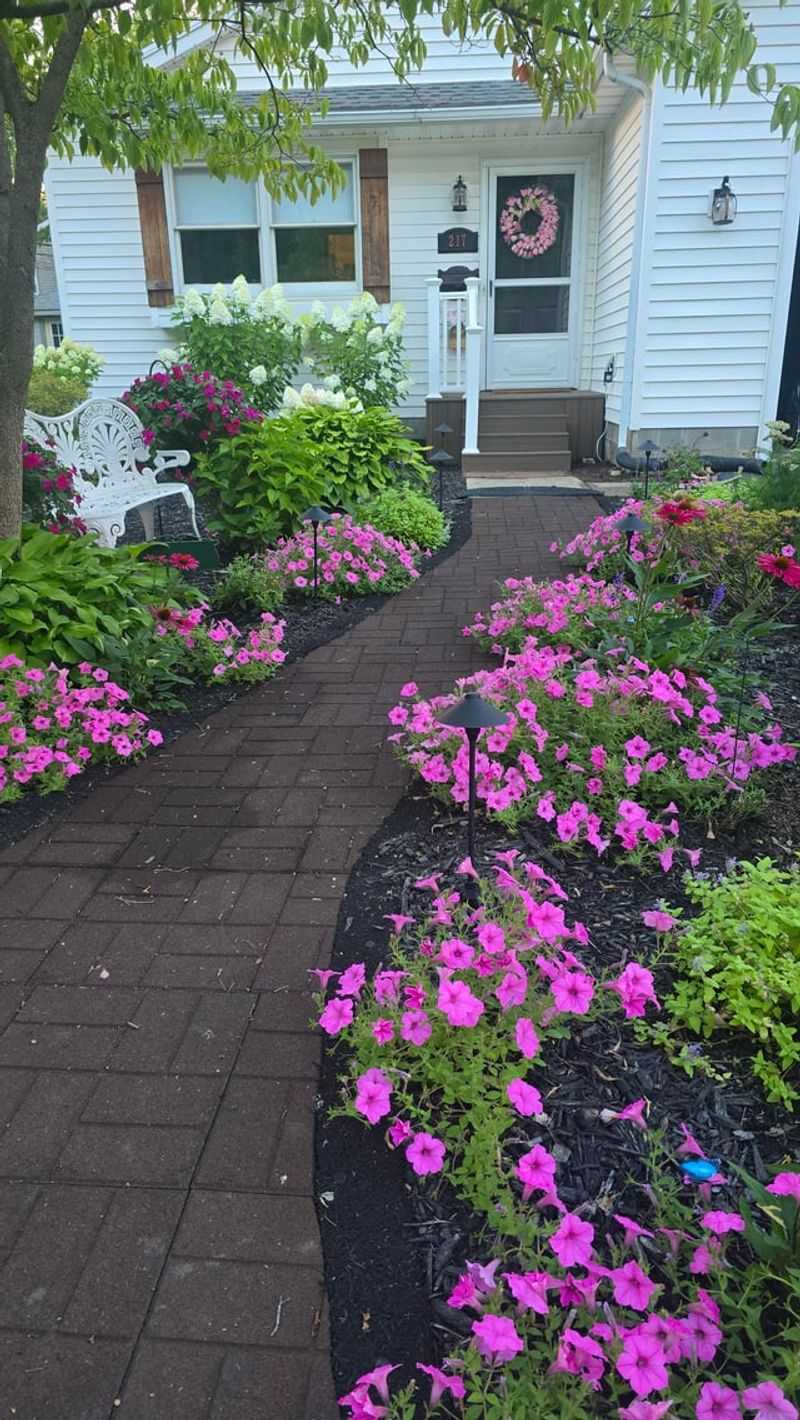 The Basics Of Hydrozoning In Your Yard The Basics Of Hydrozoning In Your Yard