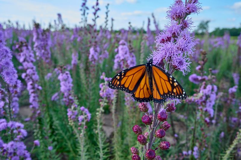 The Biggest Movement Is Still Ahead In Early Fall The Biggest Movement Is Still Ahead In Early Fall