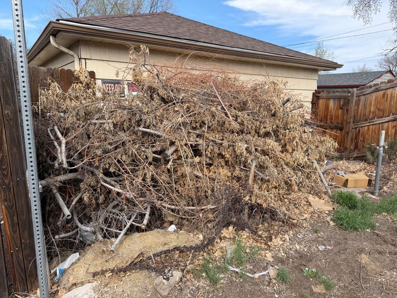 The Closer The Pile Is, The Easier Fire Can Reach The Home