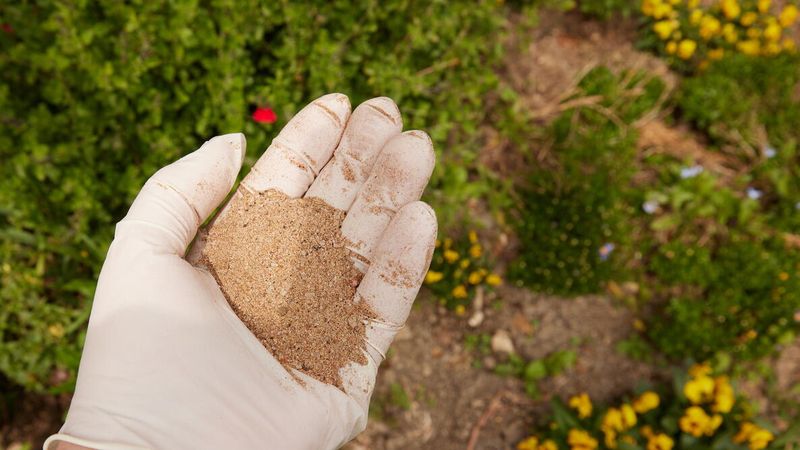 The End Of The Ban Is Not A Signal To Dump Nitrogen