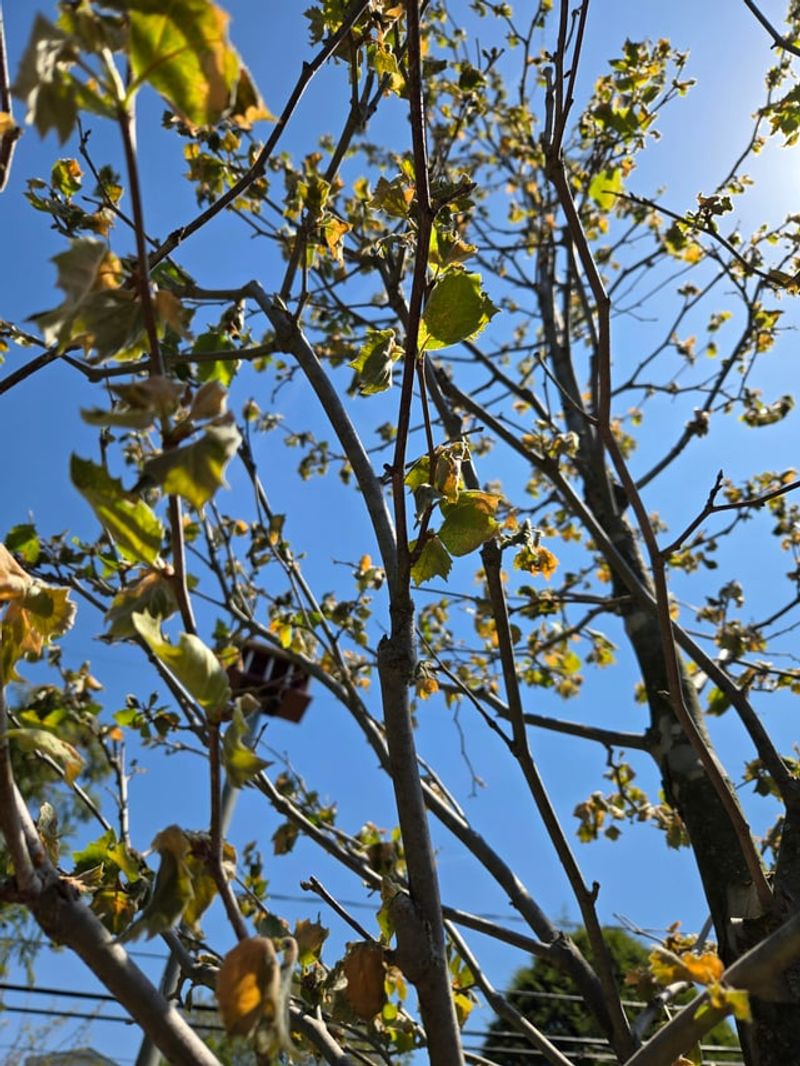 The First Cold Snap Can Expose The Problem