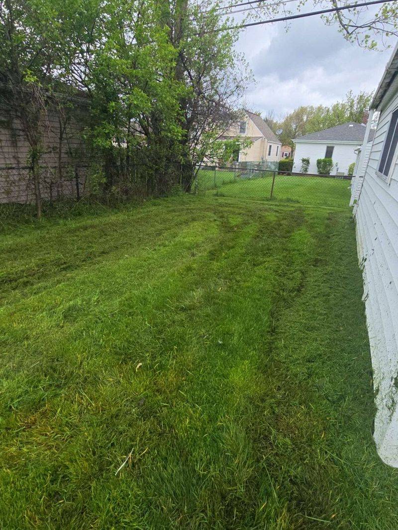 The Lawn Needs Time To Dry The Lawn Needs Time To Dry