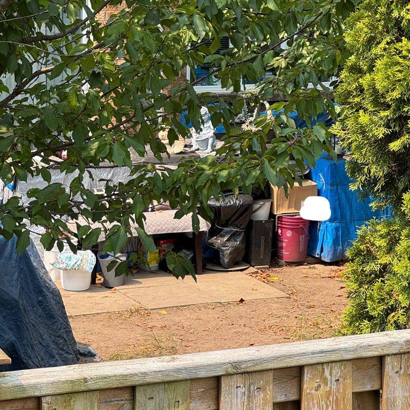 The Less Disturbed The Clutter, The Better For Rats