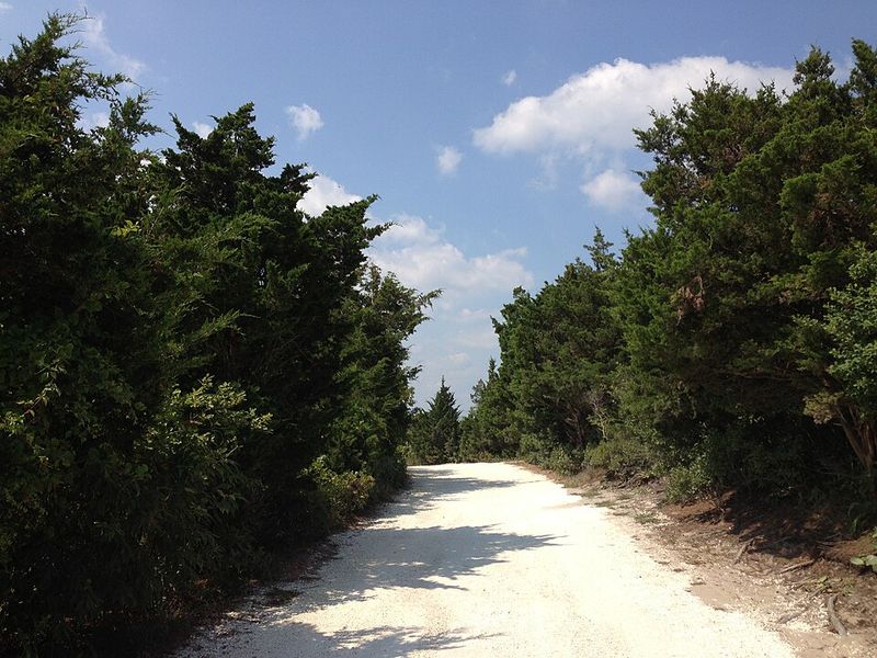 The Low-Maintenance Advantage Over Other Privacy Trees