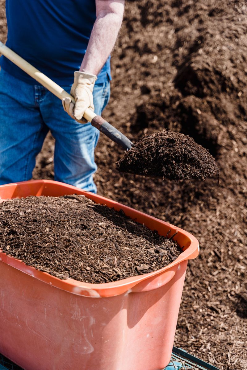 The Mulching Job Most Gardeners Overlook