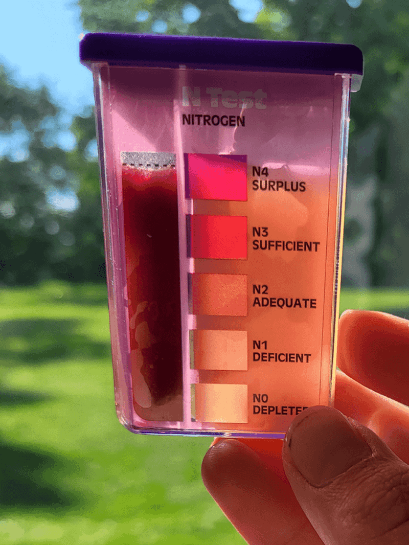 The One Nutrient Overload Damaging Your Plants The One Nutrient Overload Damaging Your Plants