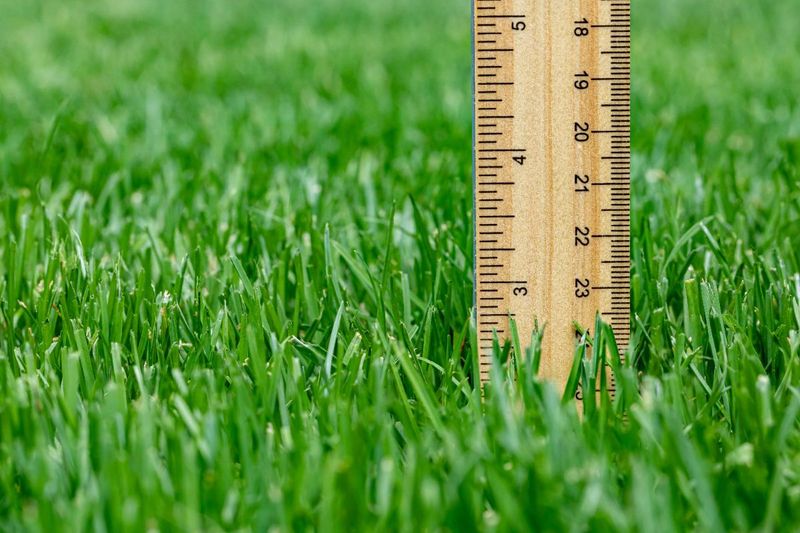 The One-Third Mowing Rule Helps Protect Turf Density The One-Third Mowing Rule Helps Protect Turf Density