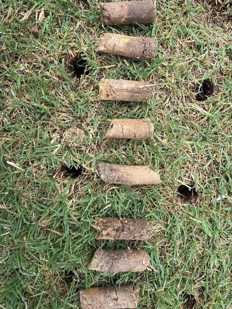 The Reason This Task Matters For New York Lawns The Reason This Task Matters For New York Lawns