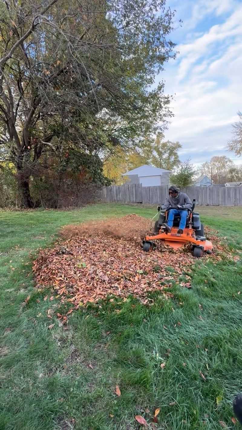 The Right Leaf Thickness For Best Results The Right Leaf Thickness For Best Results