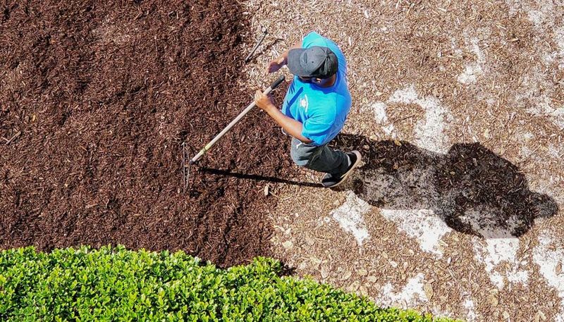 The Right Mulch Depth Keeps New Weed Seeds In The Dark The Right Mulch Depth Keeps New Weed Seeds In The Dark