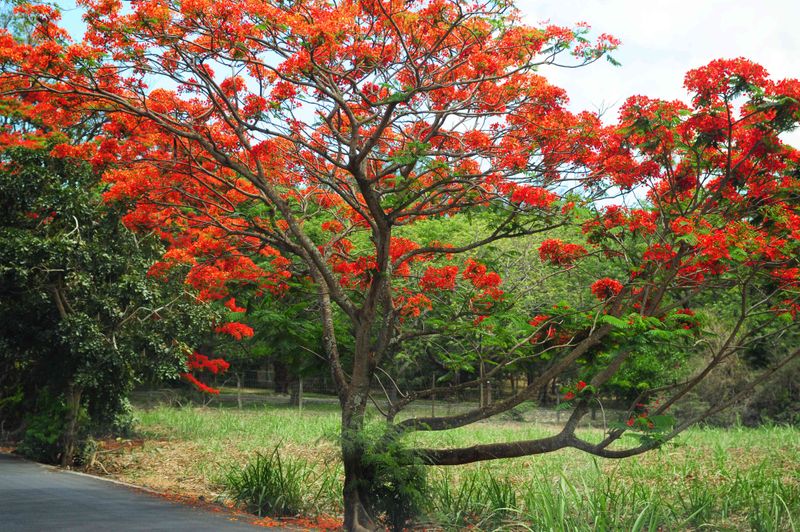 The Right Planting Spot Prevents The Expensive Mistake