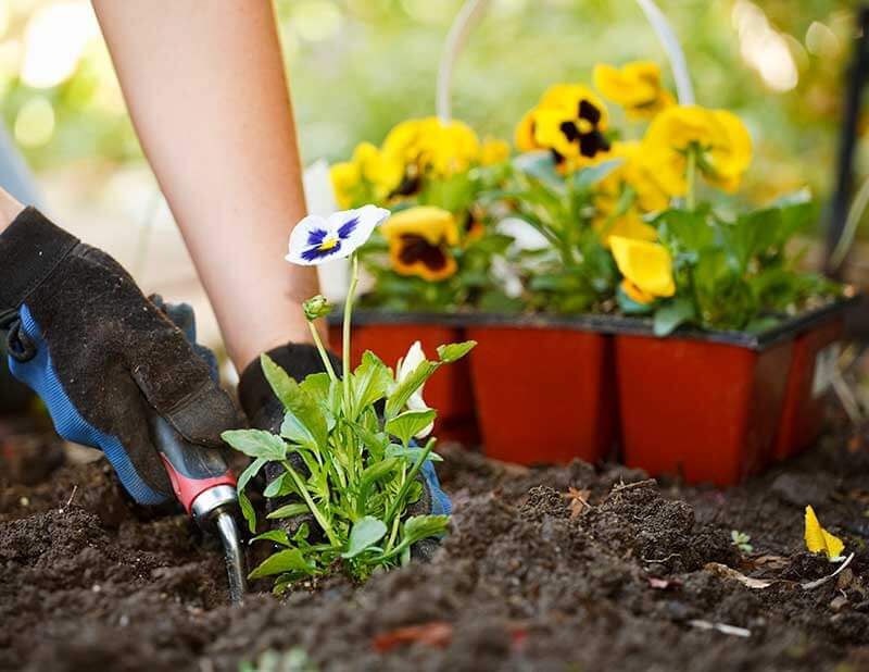 The Right Planting Time Depends On Where You Live The Right Planting Time Depends On Where You Live