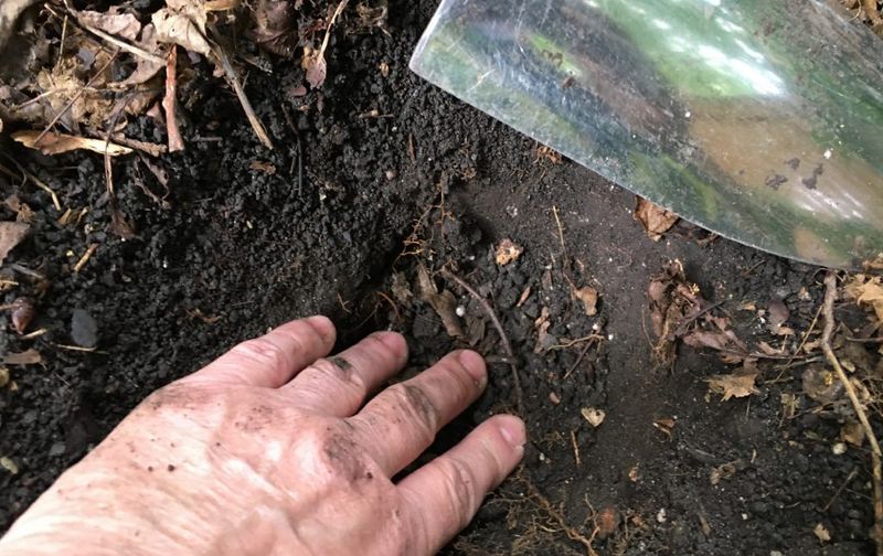 The Schedule Should Follow The Soil The Schedule Should Follow The Soil