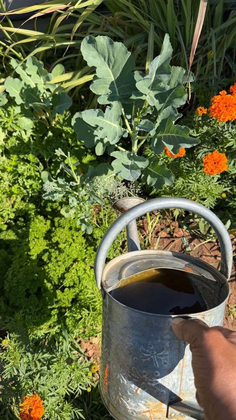 The Secret Ingredient Sitting In Your Compost Pile The Secret Ingredient Sitting In Your Compost Pile