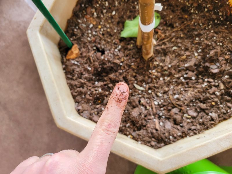 The Soil Test Beats A Fixed Schedule