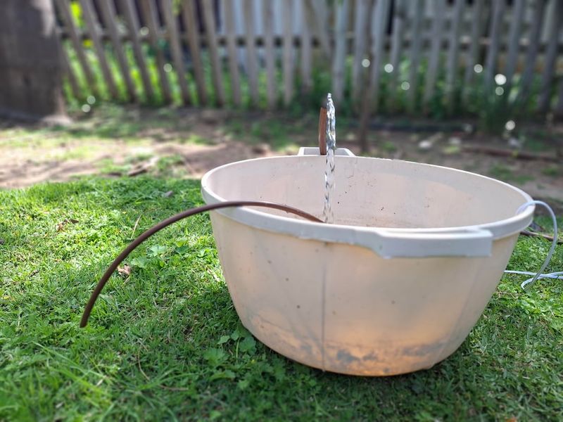 The Standing Water Sources Worth Checking At Home