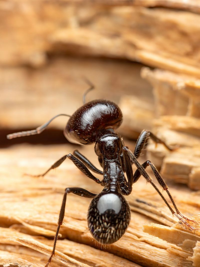 The Sting That Catches Most Homeowners Off Guard The Sting That Catches Most Homeowners Off Guard