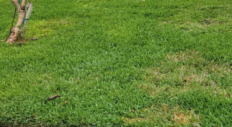 The Underlying Damage That Can Follow If Left Untreated The Underlying Damage That Can Follow If Left Untreated