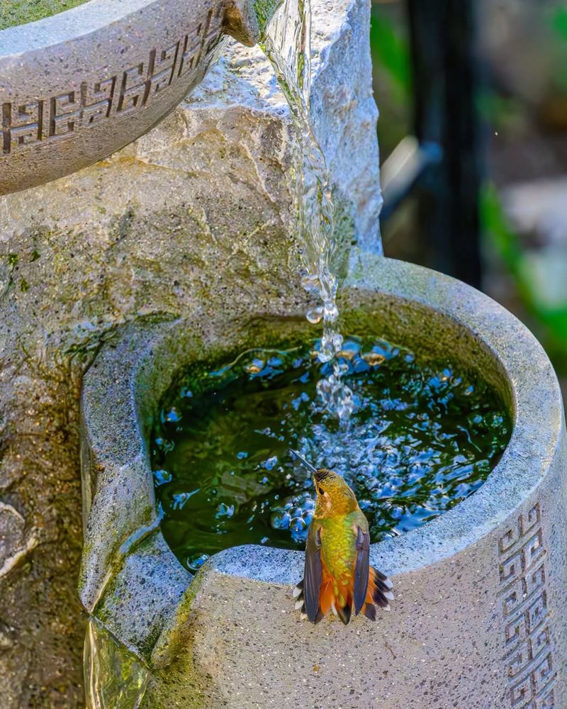 The Water Feature They Notice First