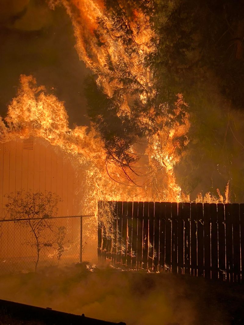 The Wooden Fence That Acts Like A Fire Fuse The Wooden Fence That Acts Like A Fire Fuse