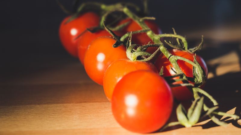 These Tomatoes Ripen Perfectly Off The Vine These Tomatoes Ripen Perfectly Off The Vine