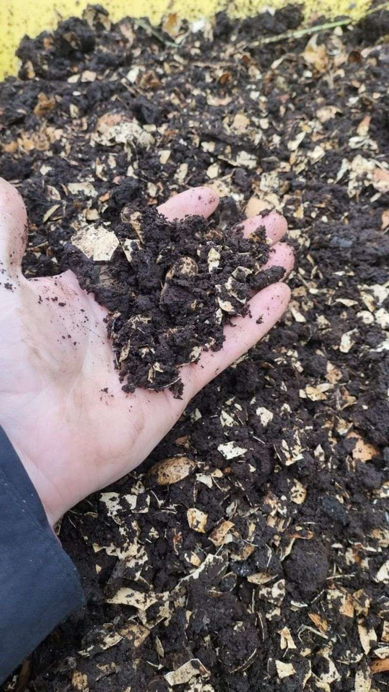 They Are Adding Eggshells To The Compost