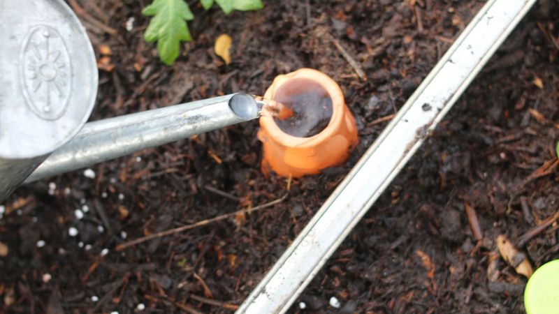 They Can Reduce How Often Garden Beds Need Watering They Can Reduce How Often Garden Beds Need Watering