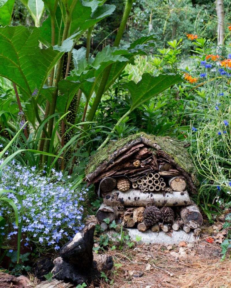 They Create Garden Habitat