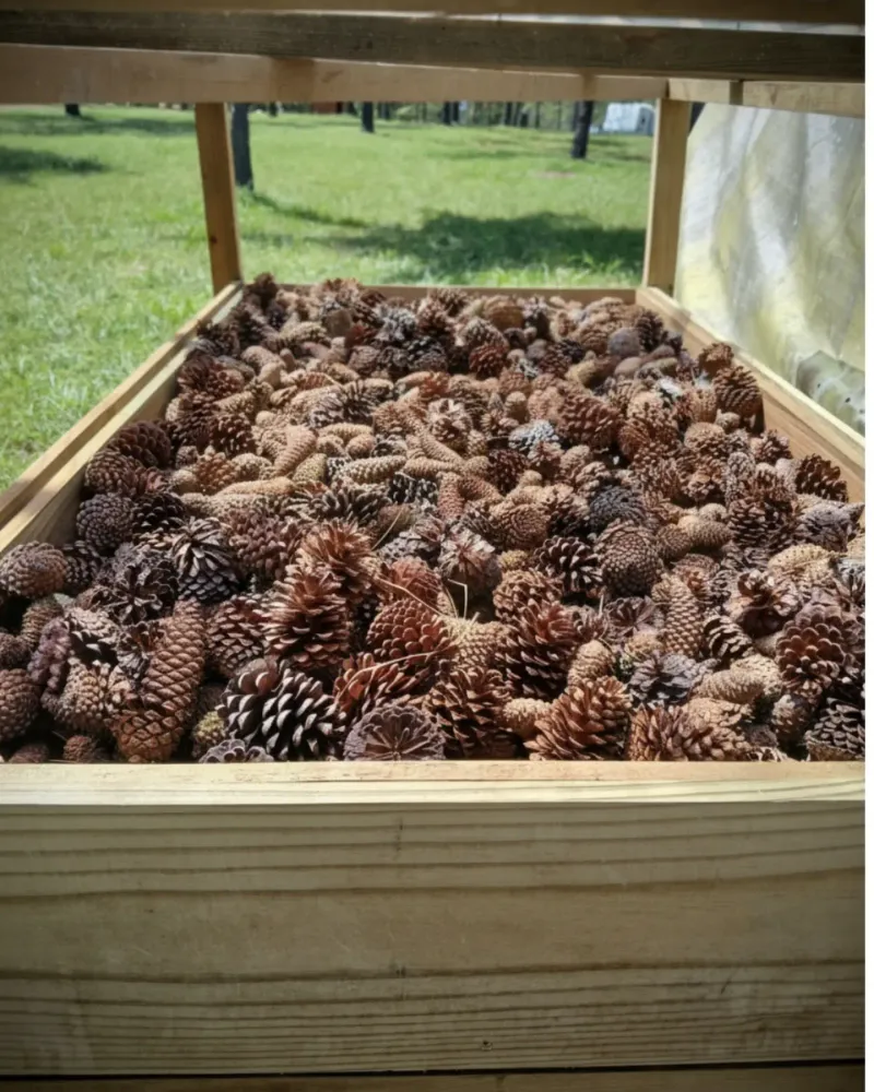 They Help Container Drainage