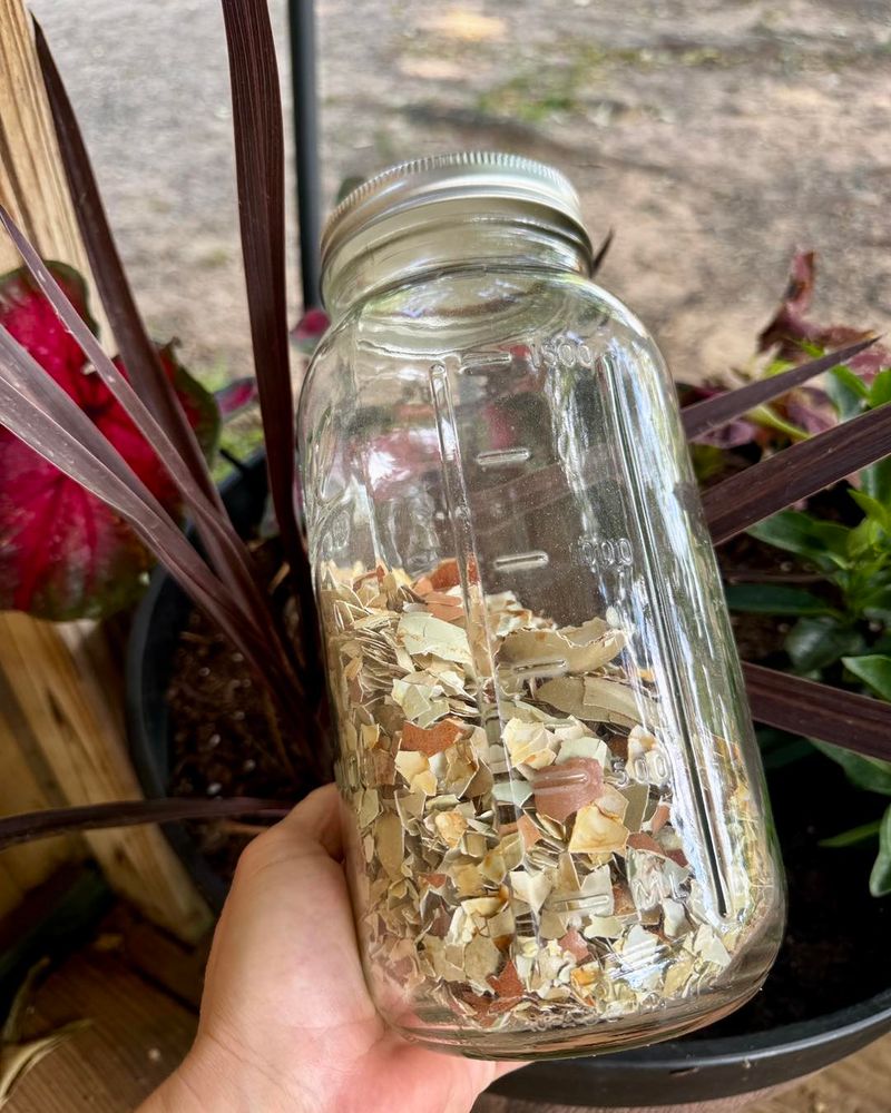 They Want To Reuse Kitchen Scraps In The Garden