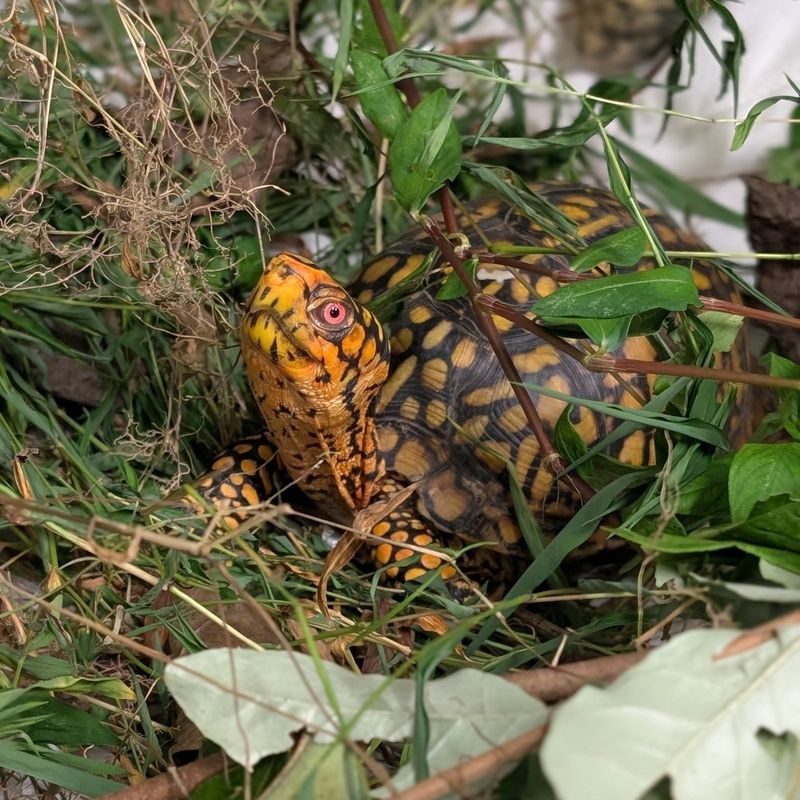 They're Preparing For Winter