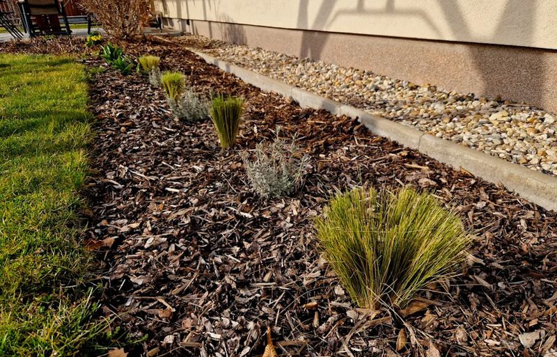 Thick Mulch Holds Moisture Against The Foundation Thick Mulch Holds Moisture Against The Foundation