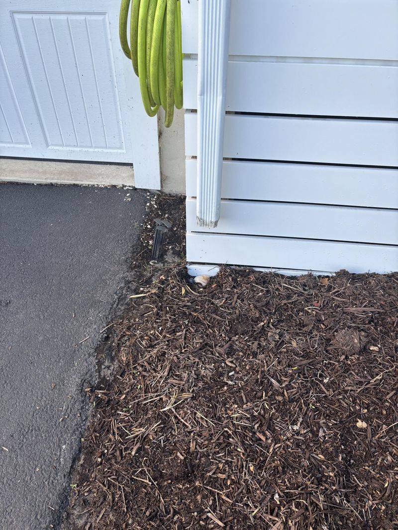 Thick Mulch Layers Create Hidden Spaces For Rats Thick Mulch Layers Create Hidden Spaces For Rats