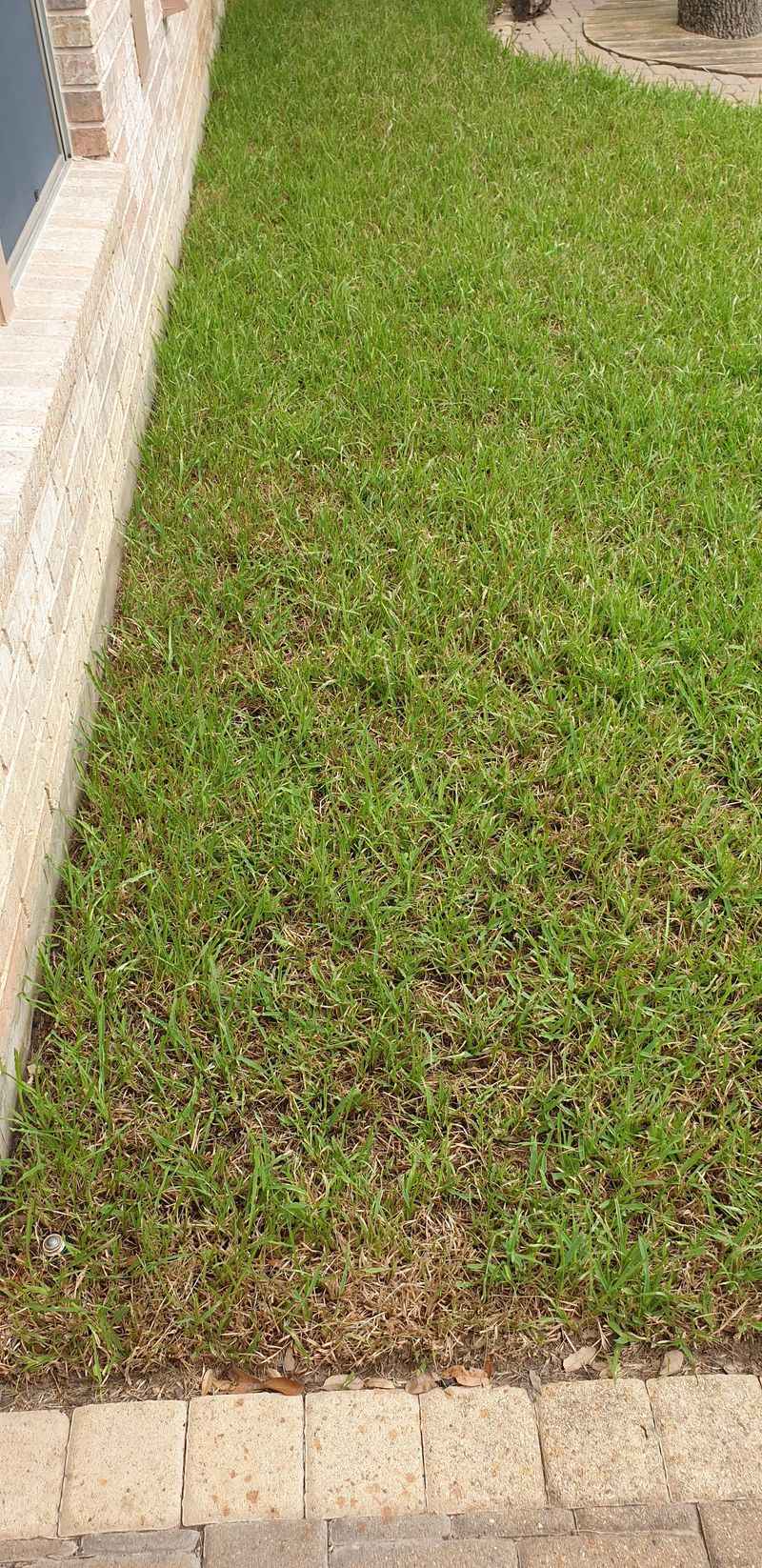 Thin Areas Need A Cause Before They Need A Repair