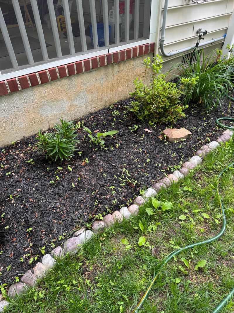 Thin Coverage Areas Let Weed Seeds Reach Bare Soil Thin Coverage Areas Let Weed Seeds Reach Bare Soil