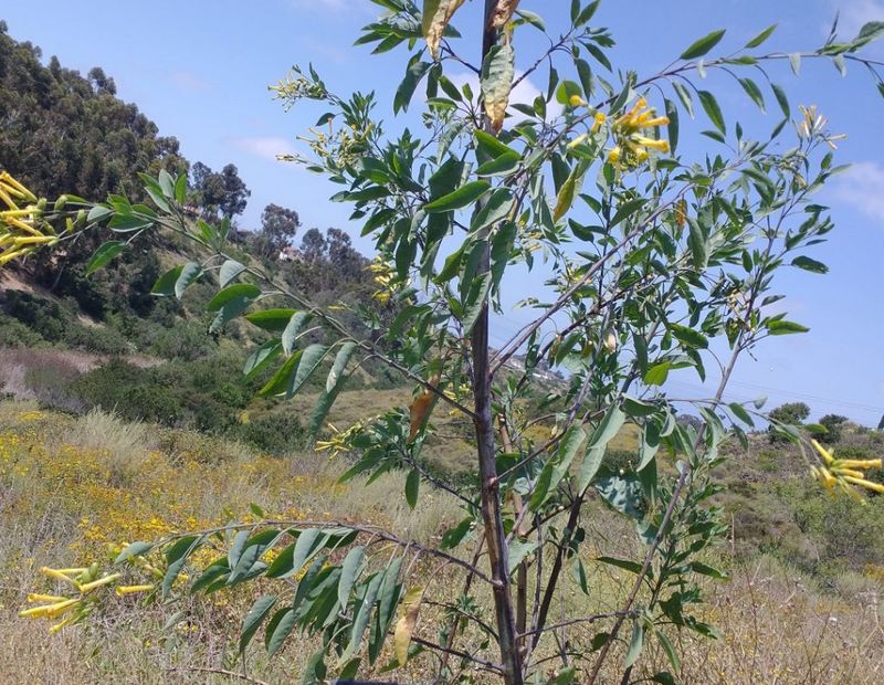 This County's Plant Rules Are Stricter Than Most People Expect This County's Plant Rules Are Stricter Than Most People Expect