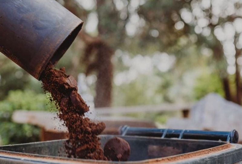 This Everyday Kitchen Scrap Is Doing More Than You Think