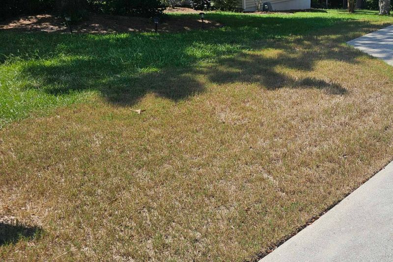 This Pattern Points To Something Other Than Drought
