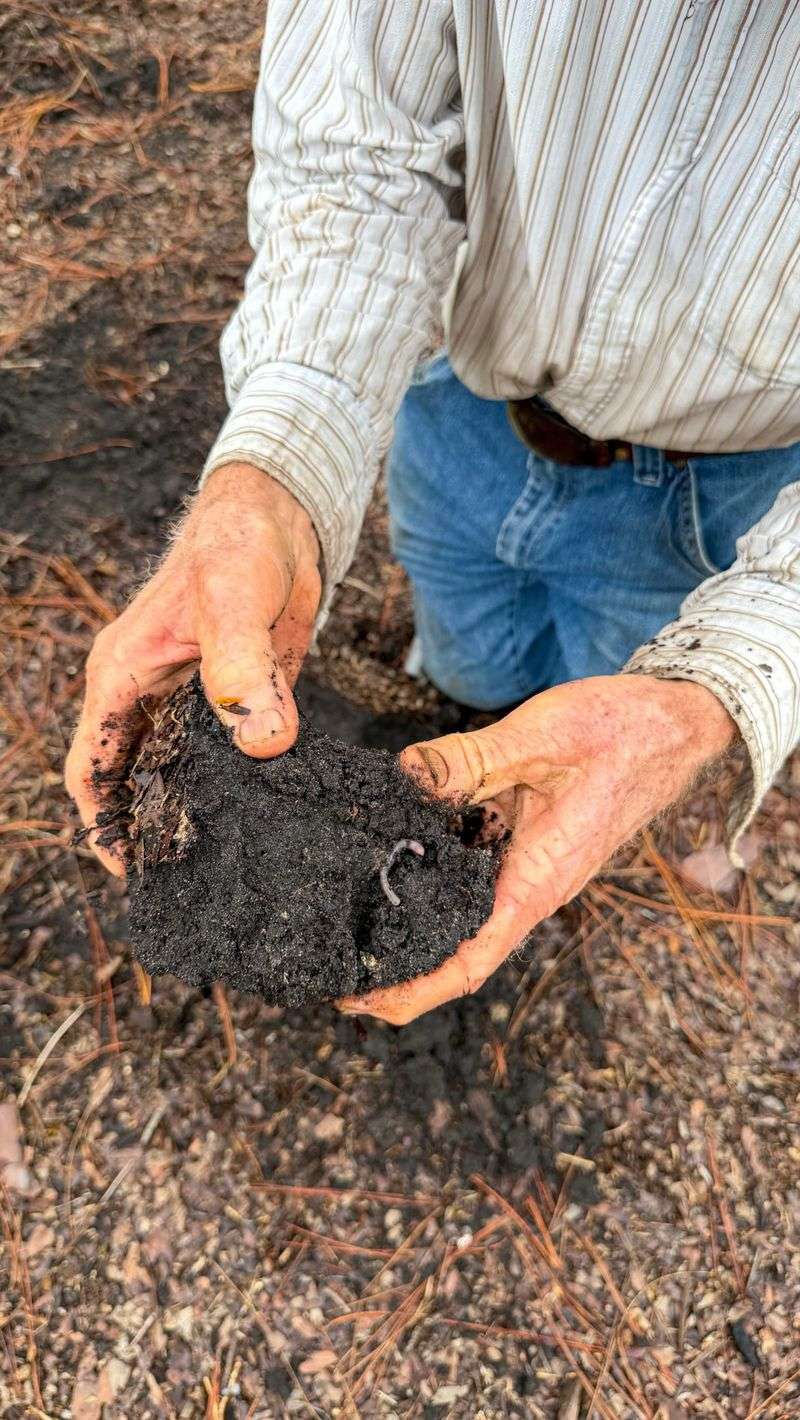 Tilling Can Destroy Good Soil Structure