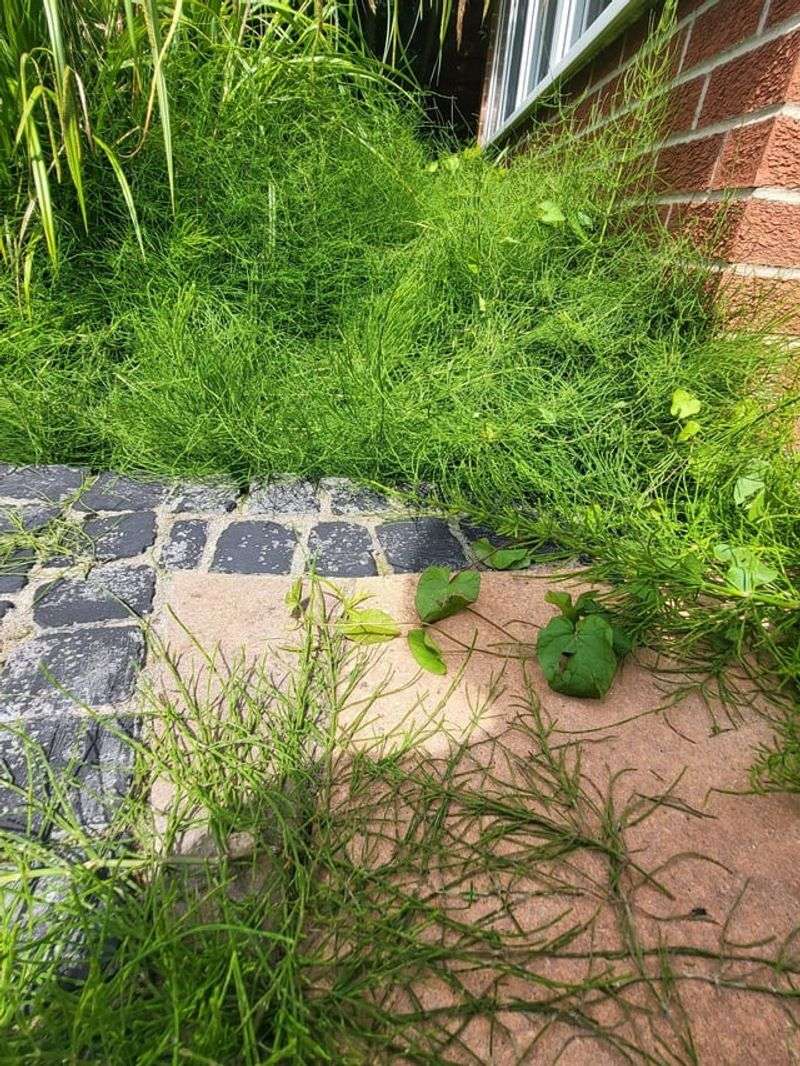 Tilling The Patch And Making The Problem Bigger