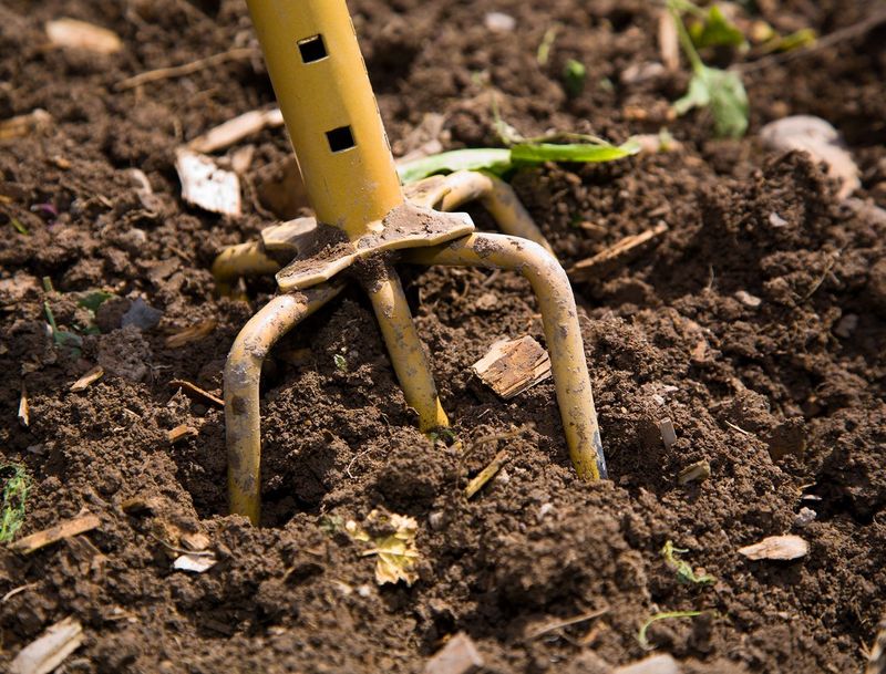 Tilling Wet Soil Is Almost Always A Mistake