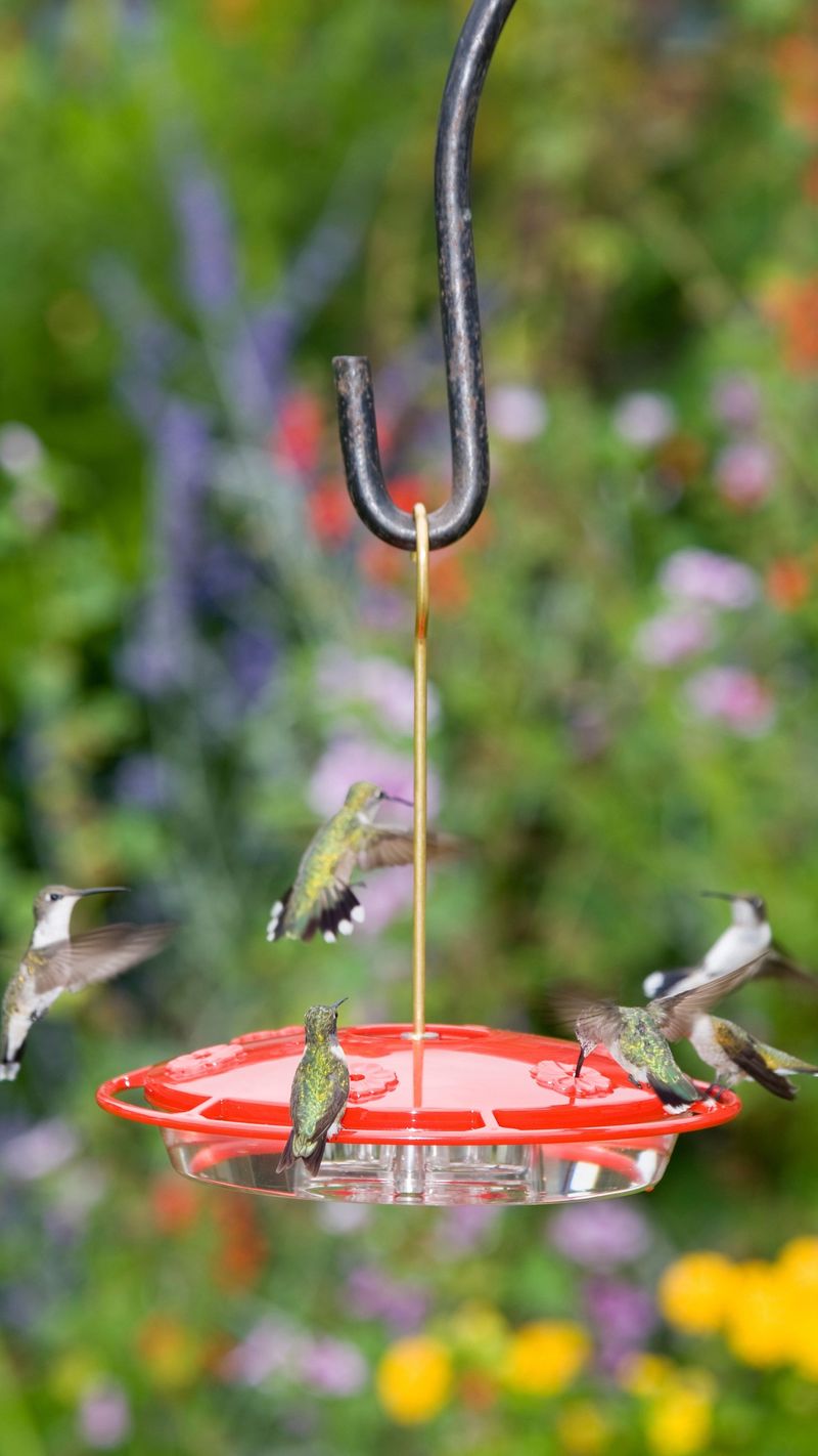 Timing The End Of Your Feeder Season