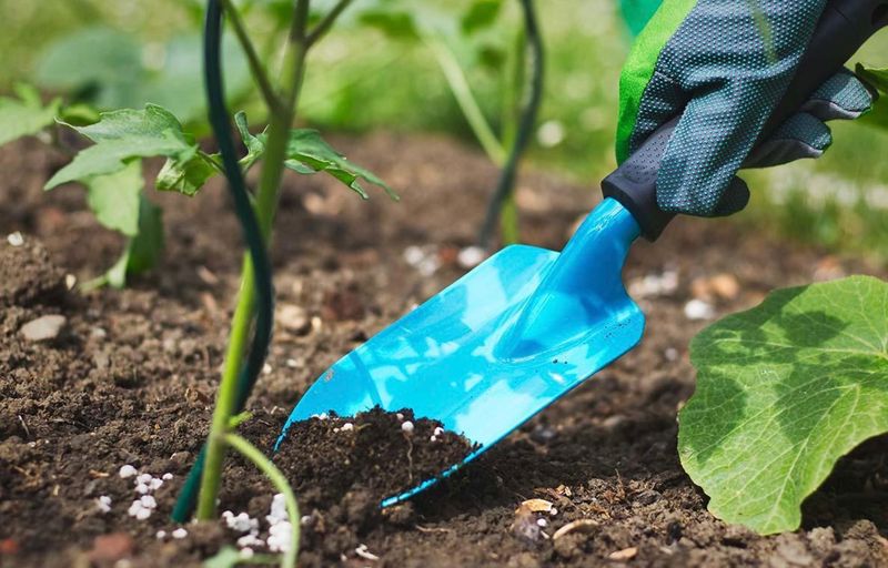 Timing Your Feeding Schedule Around The Heatwave Timing Your Feeding Schedule Around The Heatwave