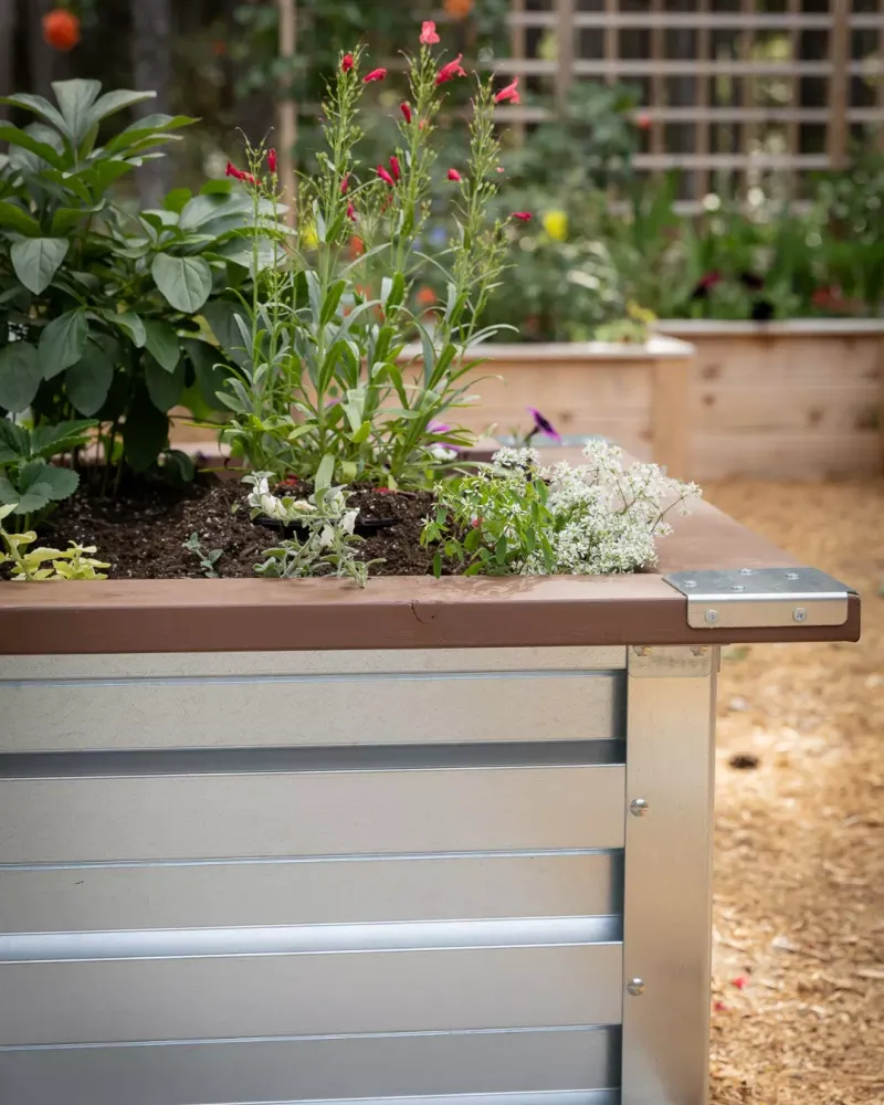 Tips For Setting Up A Metal Raised Bed Tips For Setting Up A Metal Raised Bed