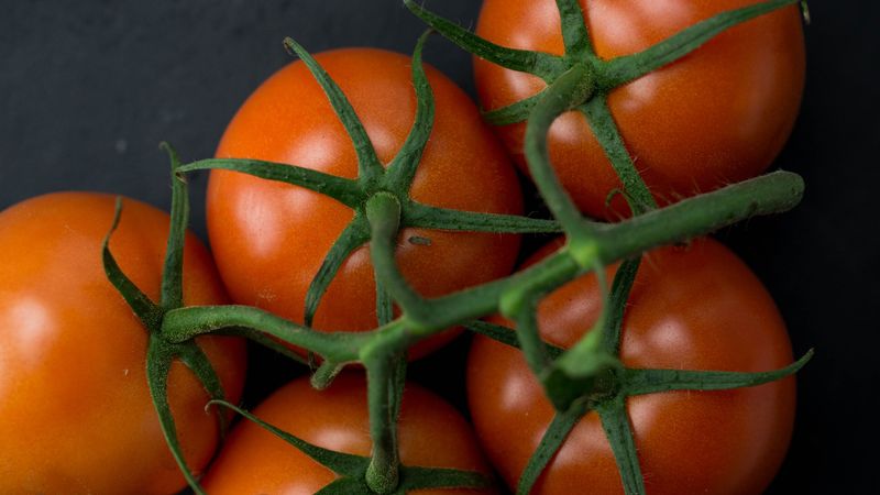 Tomatoes Tomatoes