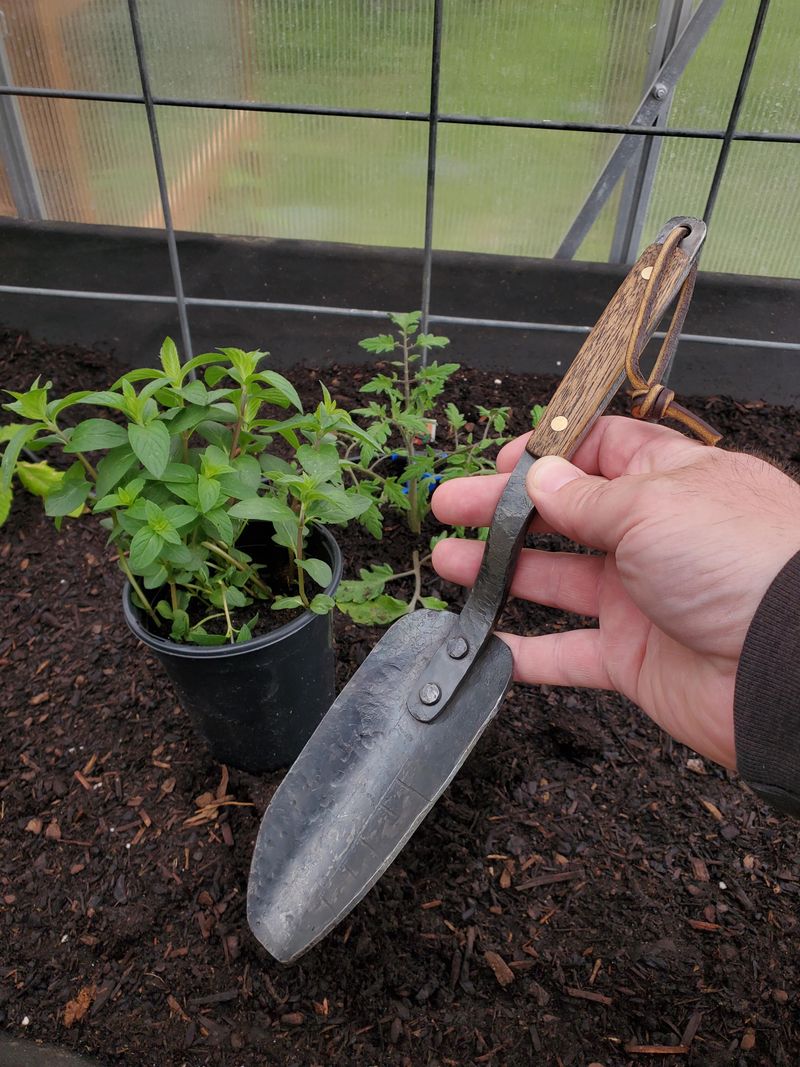 Tools That Make Soil Refreshing Easier