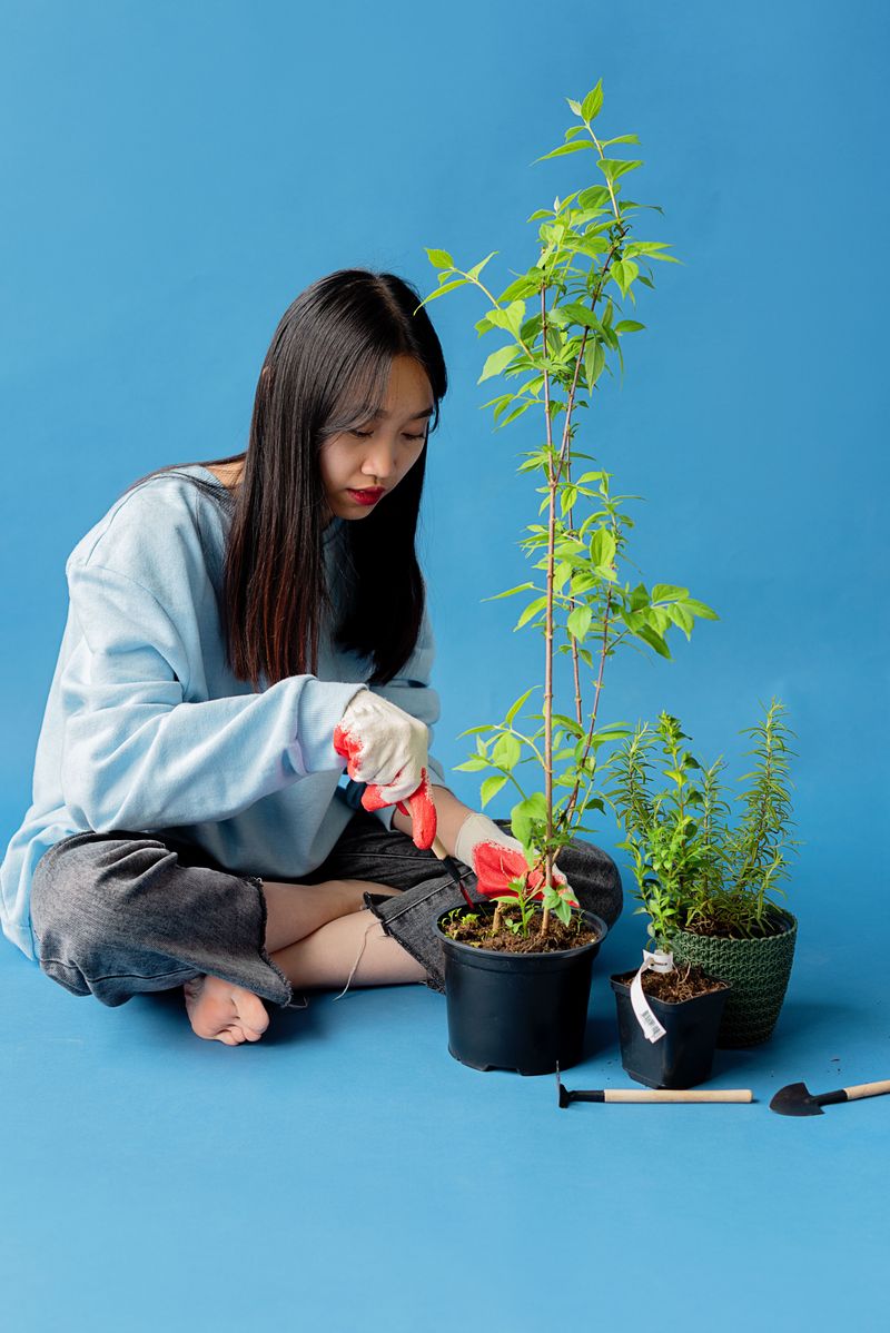 Top Plants To Stop Vertical Growth Top Plants To Stop Vertical Growth