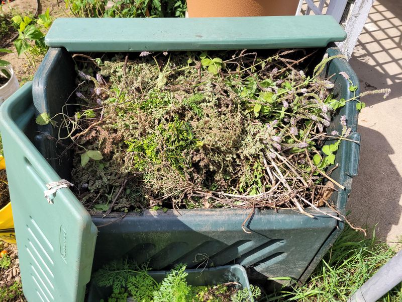 Tossing Mature Weeds Straight Into The Compost