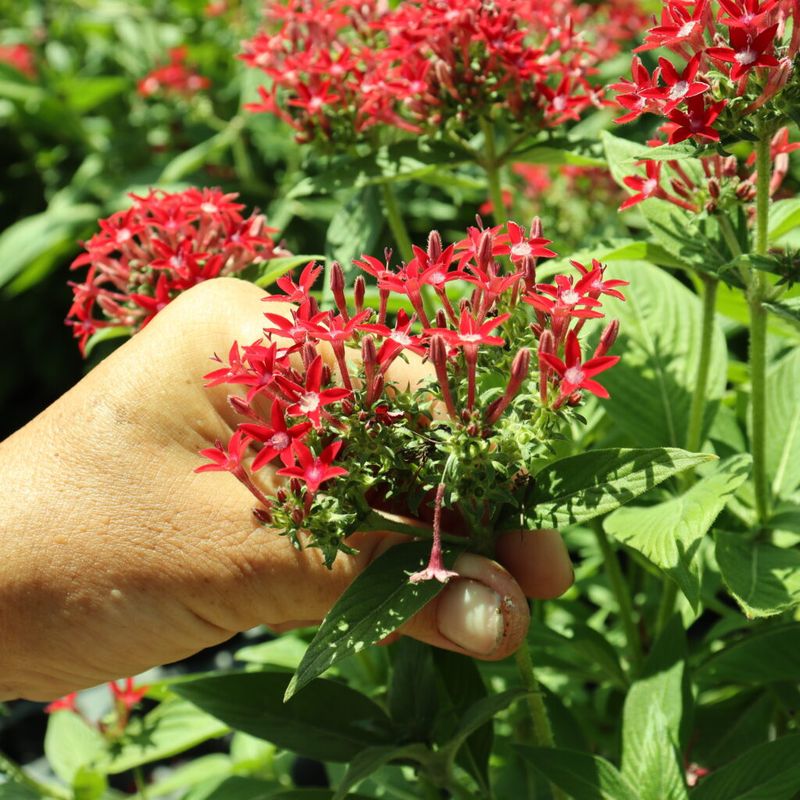 Treat Deadheading As Optional